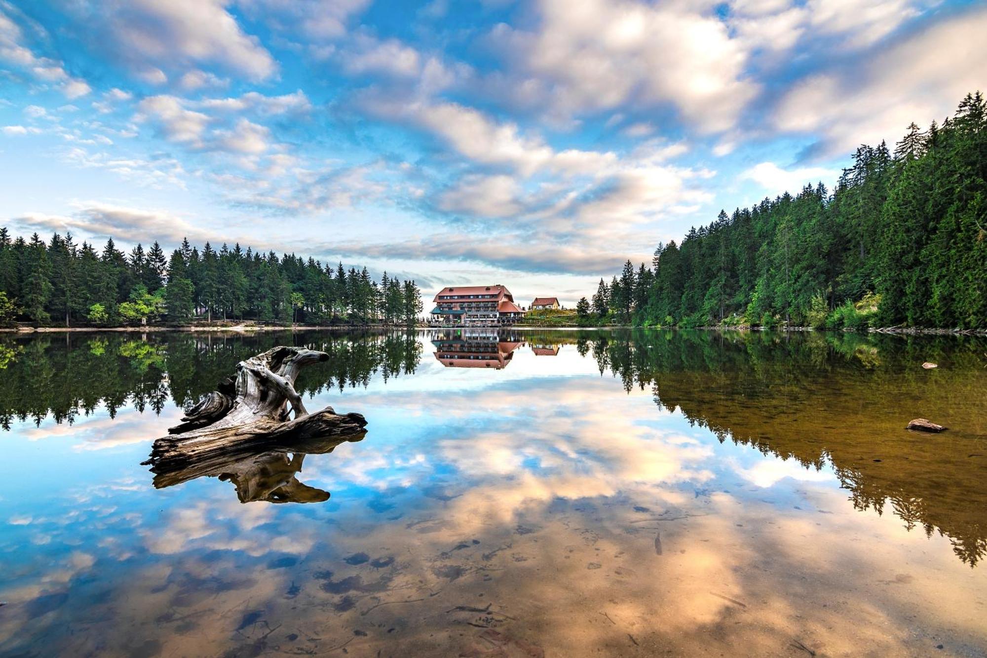 Berghotel Mummelsee ซีบาค ภายนอก รูปภาพ