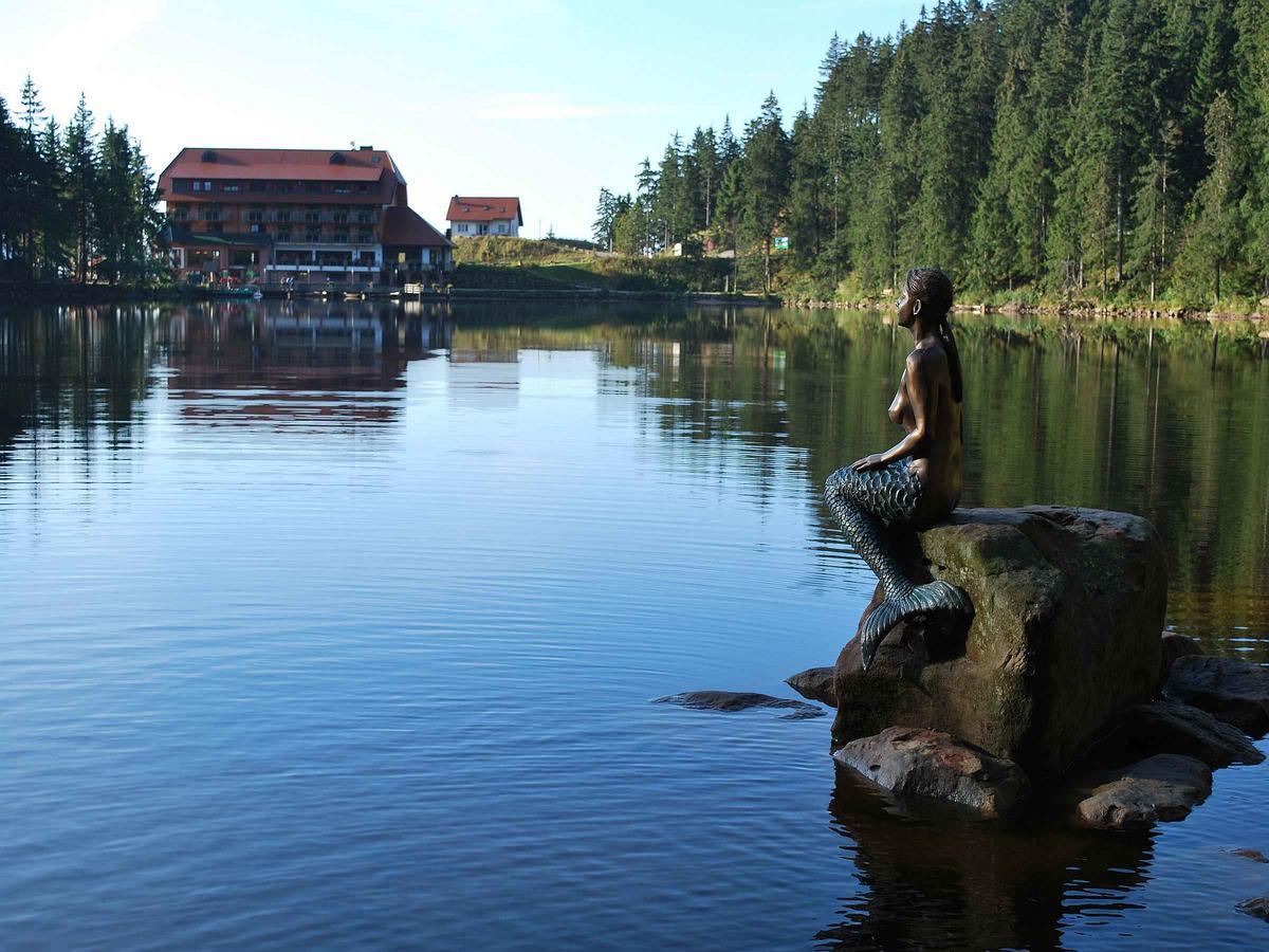 Berghotel Mummelsee ซีบาค ภายนอก รูปภาพ